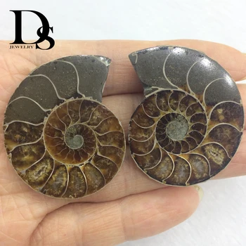 1 pair Split Ammonite Izrakteņu Paraugu Okeāna Shell Dziedināšanas Madagaskara