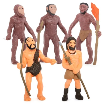 Simulācijas Cilvēka Evolūcijas Modeļiem Primitīvas Statuetes Izaugsmes Ciklā, Cilvēka Darbības Rādītāji Izglītojošas Rotaļlietas Bērniem