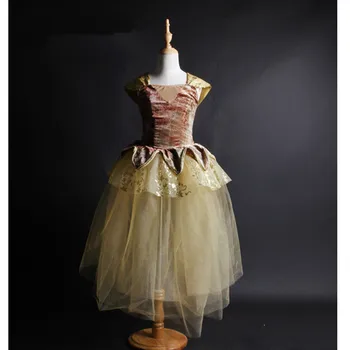 Zelta Karaļa galmā Stila 2IN1 Baleta Tutu Kleita Meitenēm Balerīna Skatuves Performance/Konkurences Bērnu Romantiska Tutu Dancewear